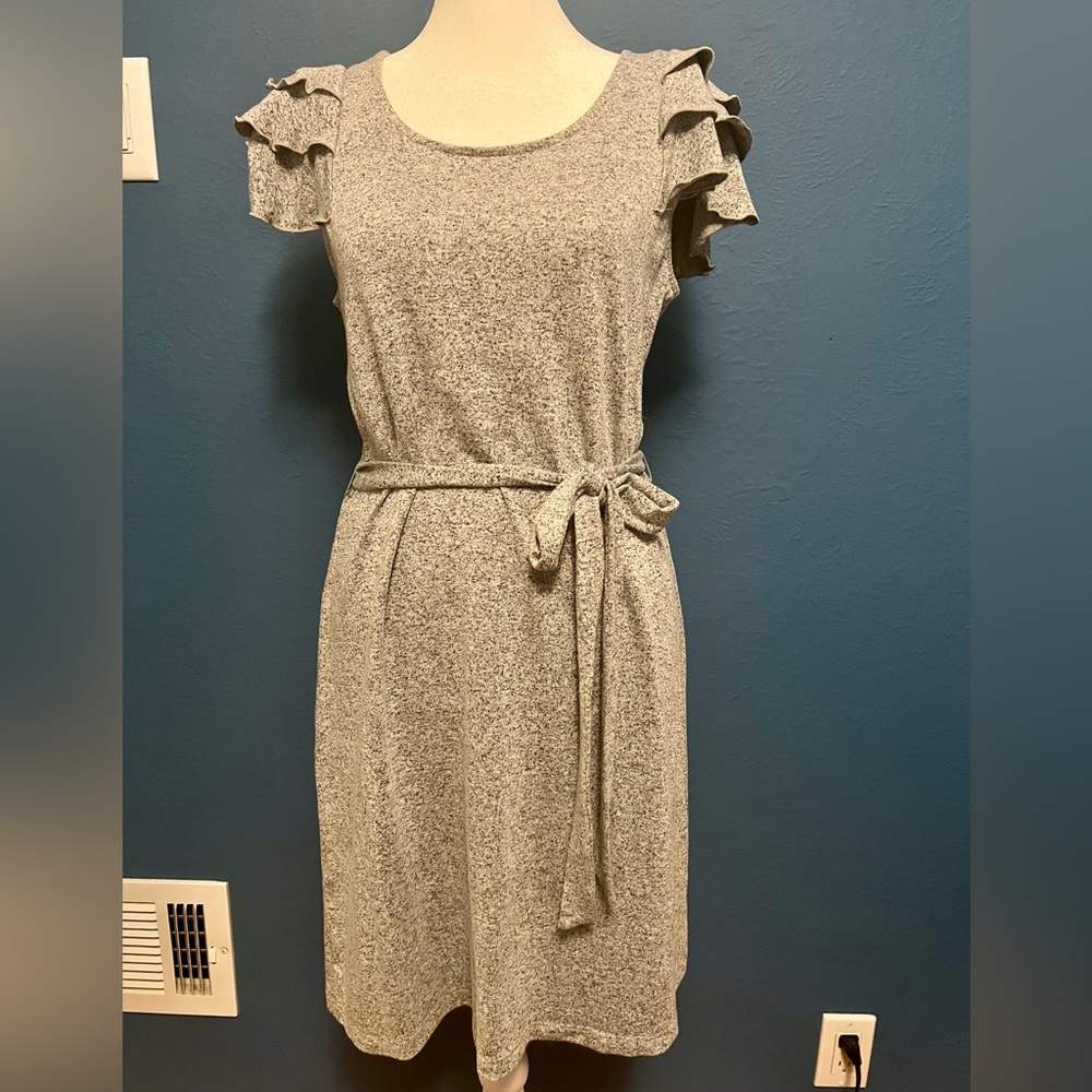 Loft Ruffle Sleeve Dress